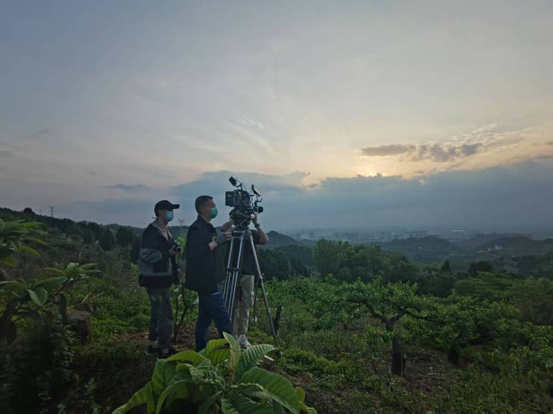龙游县广告片制作：用专业整合能力，解锁品牌传播新势能